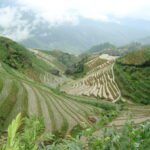 Rice Terraces Ping An