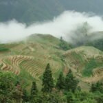 Seven Stars Under the Moon