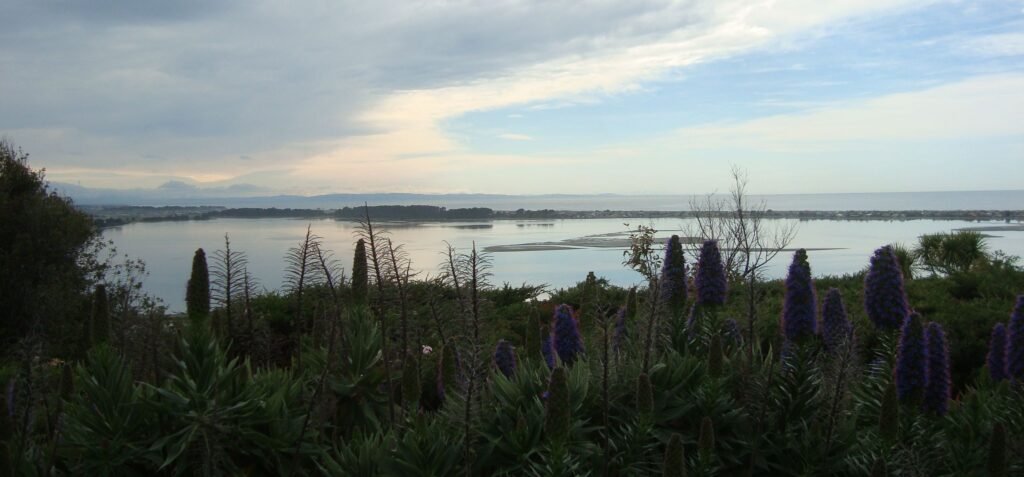 Christchurch bay and distant mountains