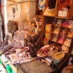 LLama foetus for sale