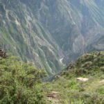 Looking into the Canyon