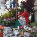 Plant seller