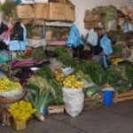 Flowers herbs and lemons