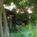 Garden Dreamer Hostel