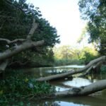 River inlet early dusk