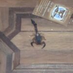 Scorpion found in my bedroom
